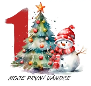 Moje první Vánoce - sněhulák