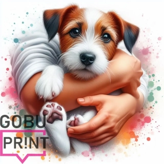 Jack russell teriér