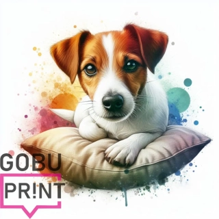 Jack russell teriér na polštáři