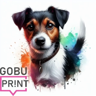  Jack russell teriér tricolor