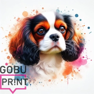 Kavalír king charles spaniel tricolor