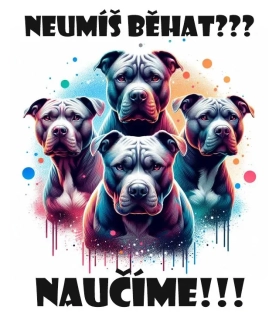Neumíš běhat? naučíme!