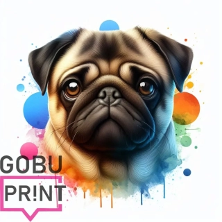 Mops hlava