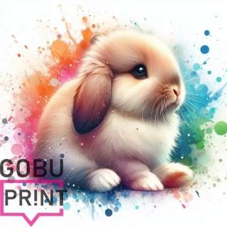 Králík cute