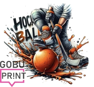 Hokejball