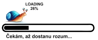 Čekám až dostanu rozum