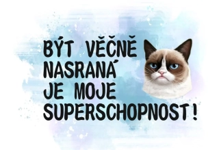 Jsem věčně na*raná