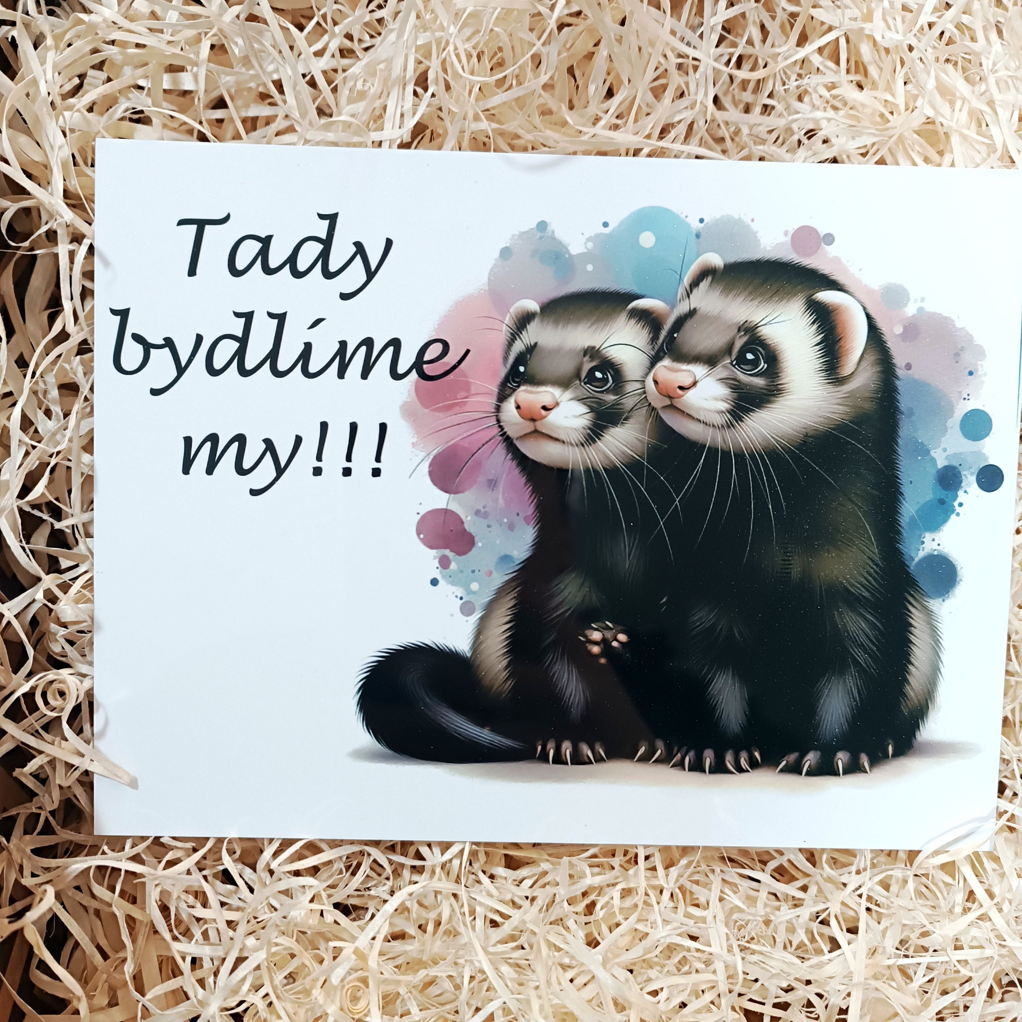 hliníkové cedulky tady bydlím já