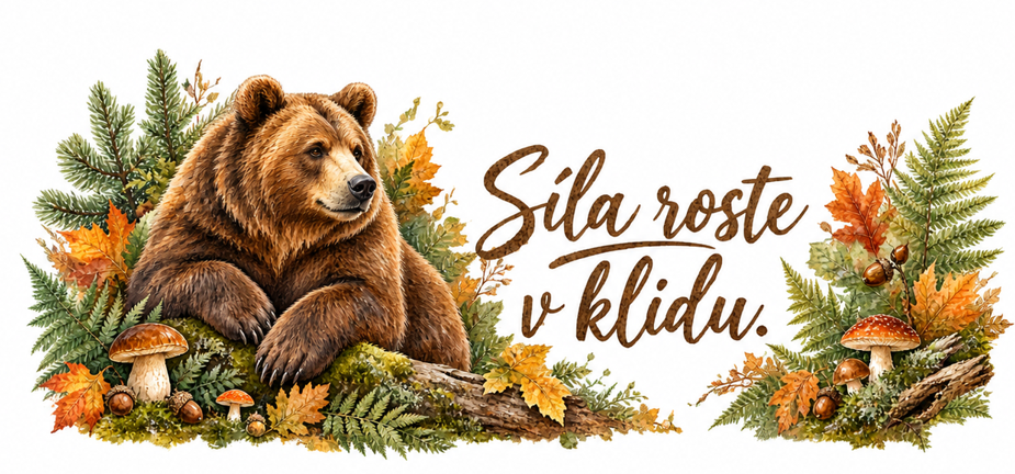 Medvěd – „Síla roste v klidu.“